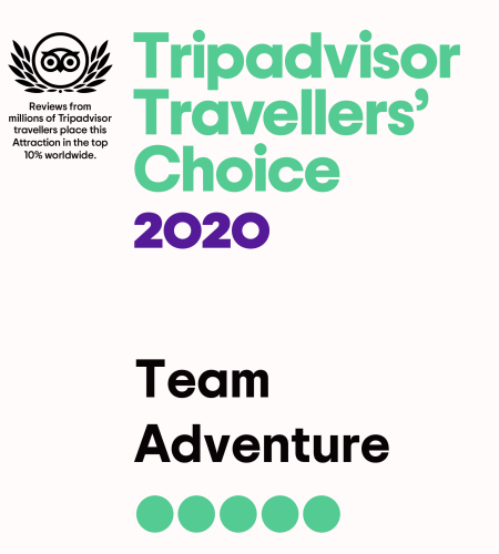 tripadvisor choice