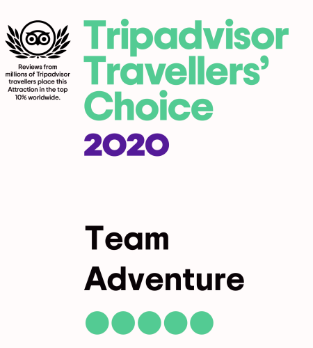 tripadvisor choice tripadvisor choice