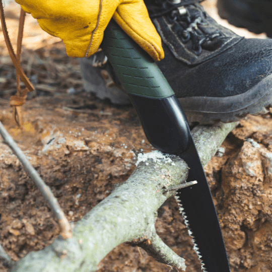 bushcraft bushcraft