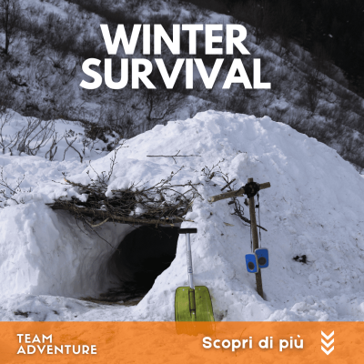 winter survival